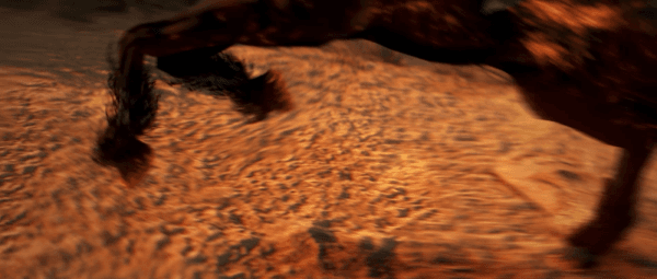 9655315088b20241219185038147.gif